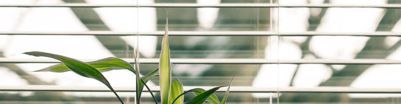 Affordable blinds