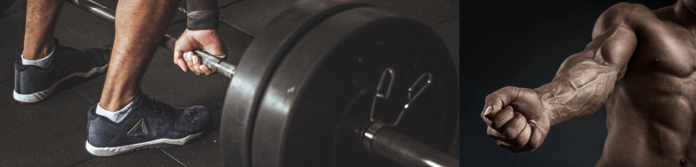 Unlock Your Full Potential with The Ultimate Training Gear for Strength and Recovery
